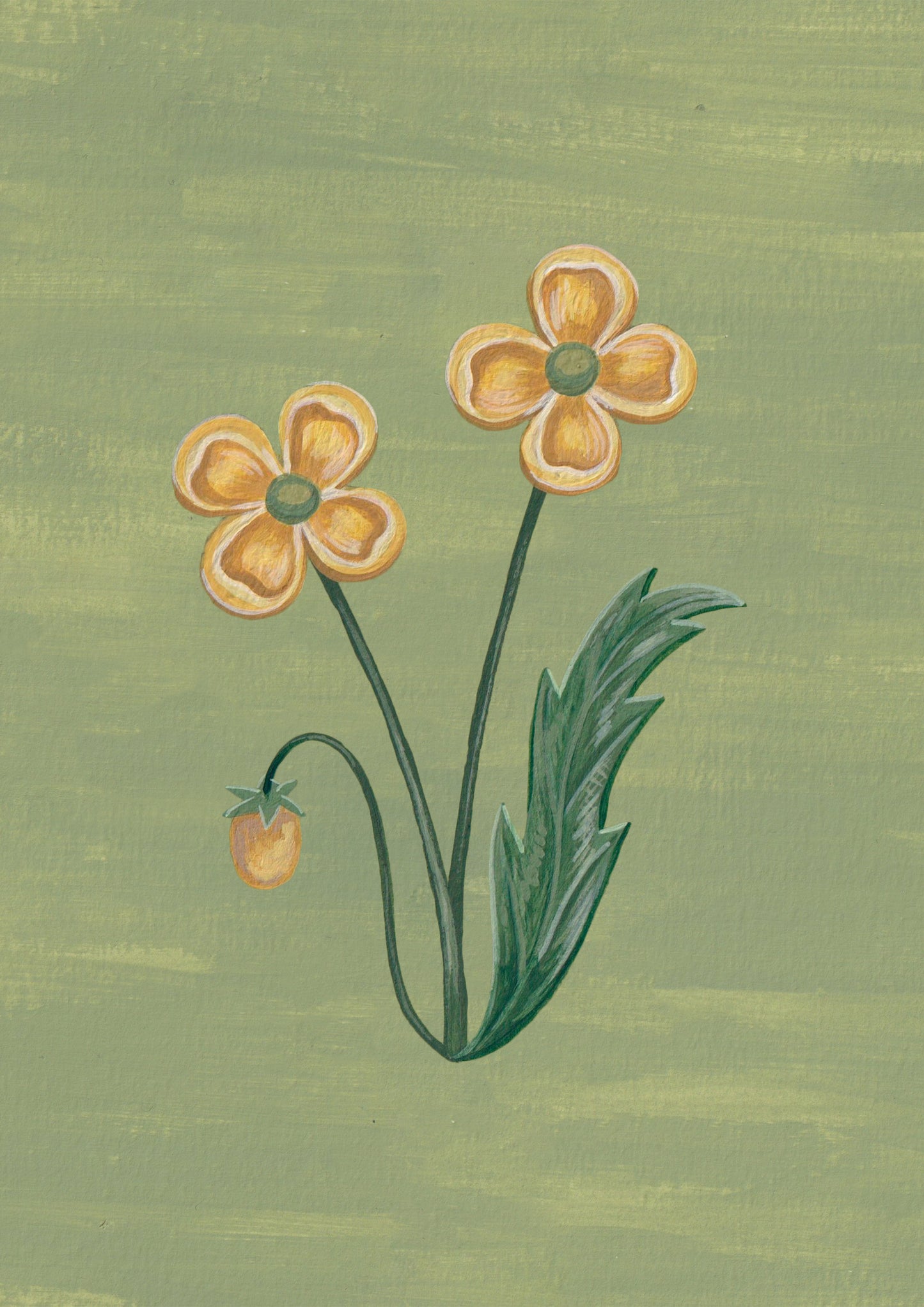 Lámina Floralia II