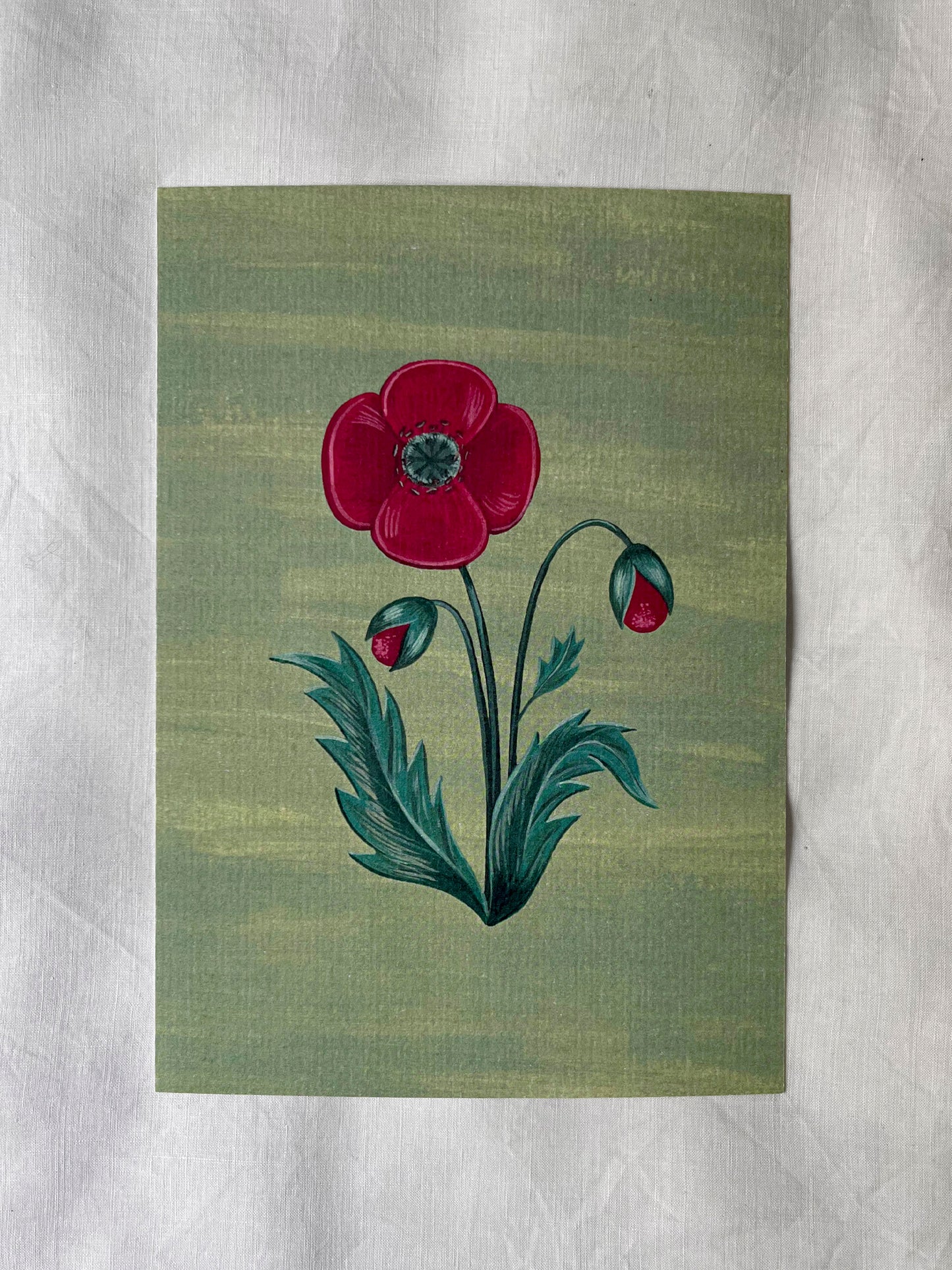 Lámina Floralia I