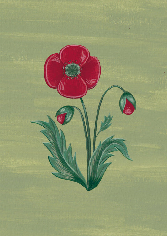 Lámina Floralia I