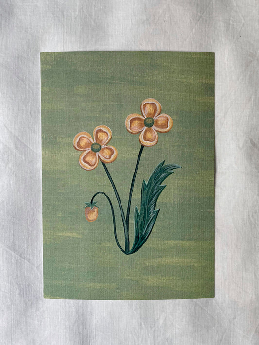 Lámina Floralia II