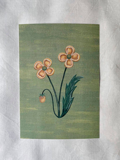 Lámina Floralia II