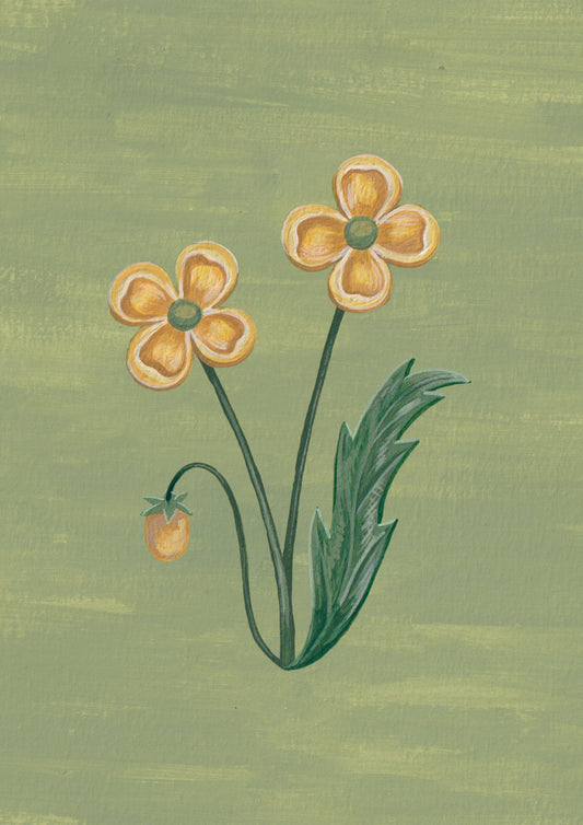 Lámina Floralia II