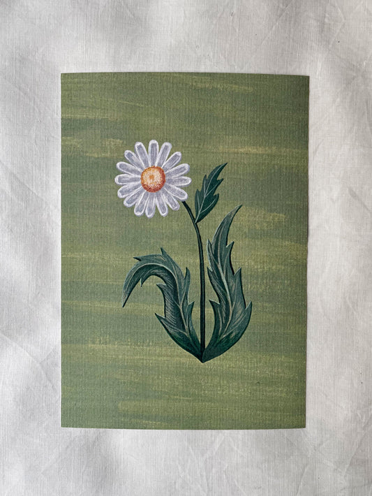 Lámina Floralia IV