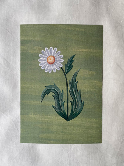Lámina Floralia IV