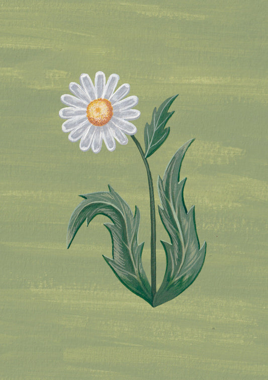 Lámina Floralia IV