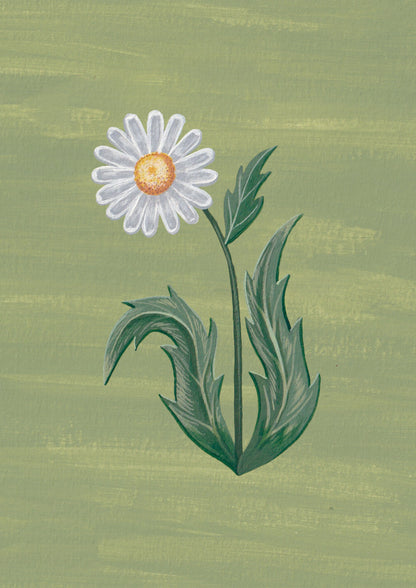 Lámina Floralia IV