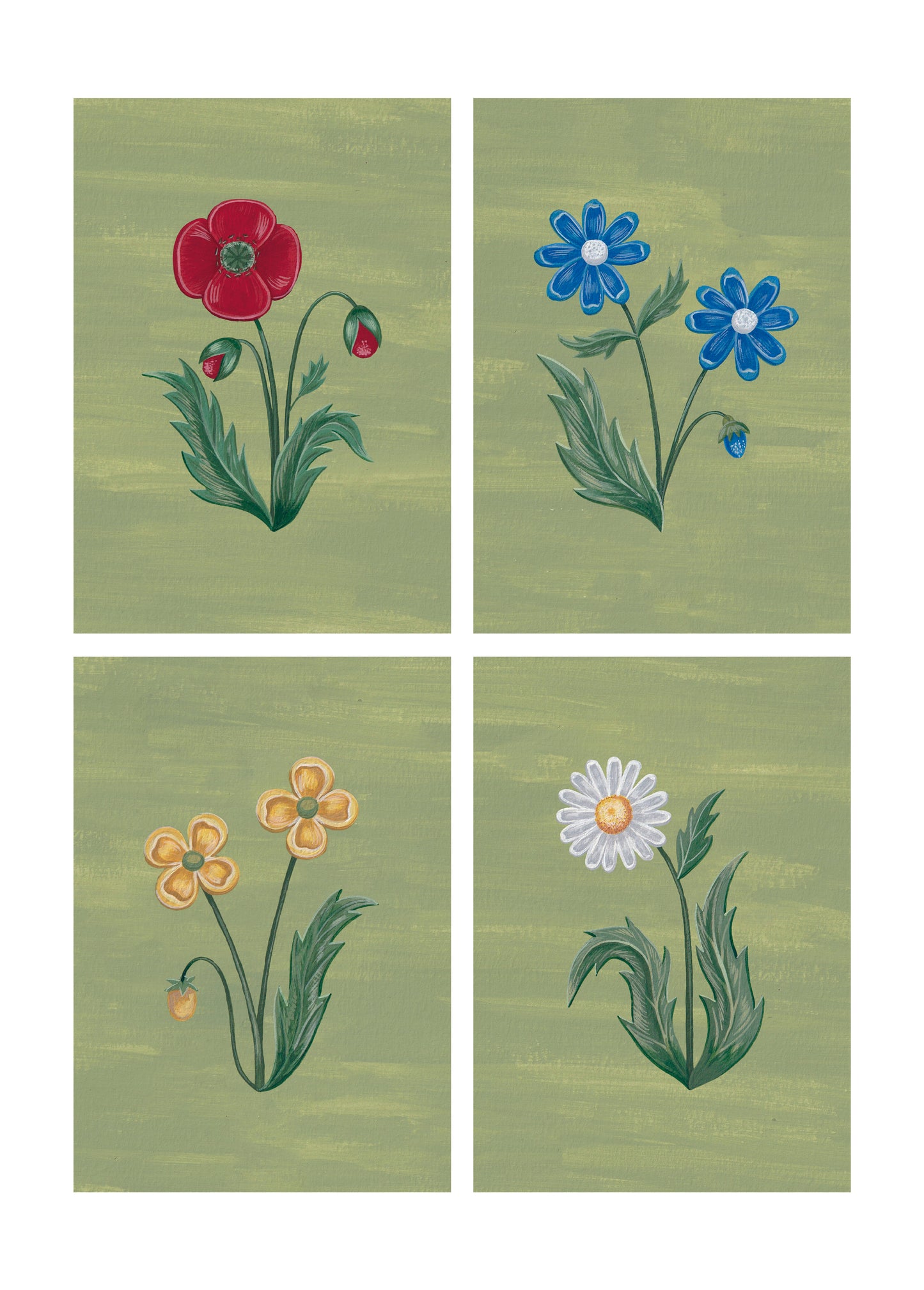 Pack Floralia